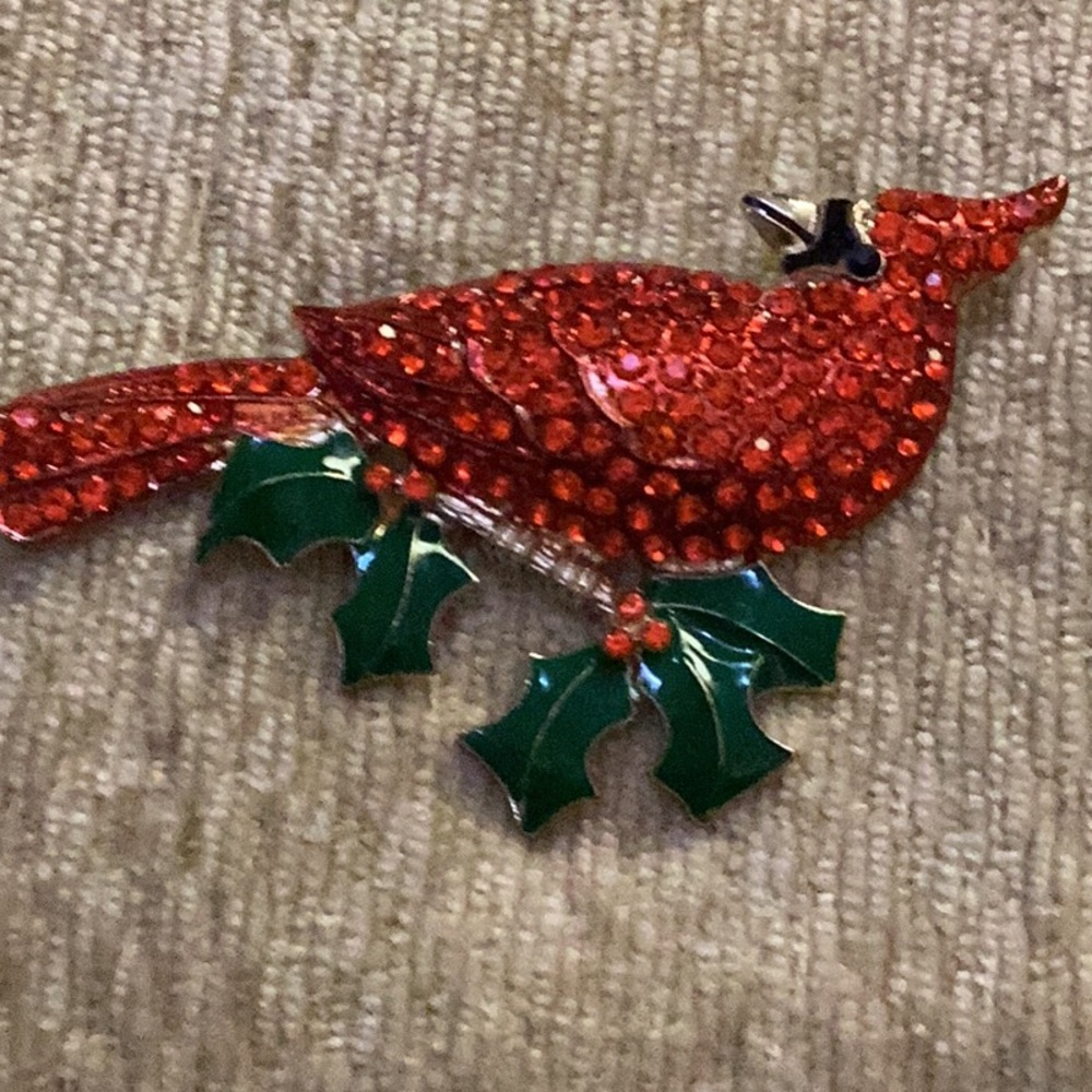 ❤️NWT Gorgeous Red Cardinal Rhinestone
Giant Brooch ❤️